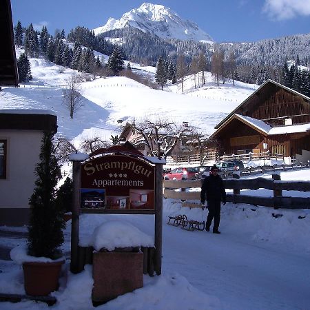 Strampflgut Lägenhet Dorfgastein Exteriör bild